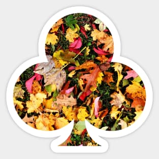 A Carpet of Autumn Leaves Sticker